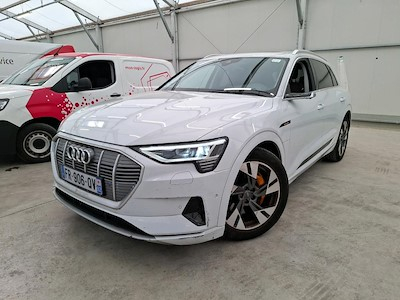 Audi E-TRON e-tron 50 313ch Avus e-quattro