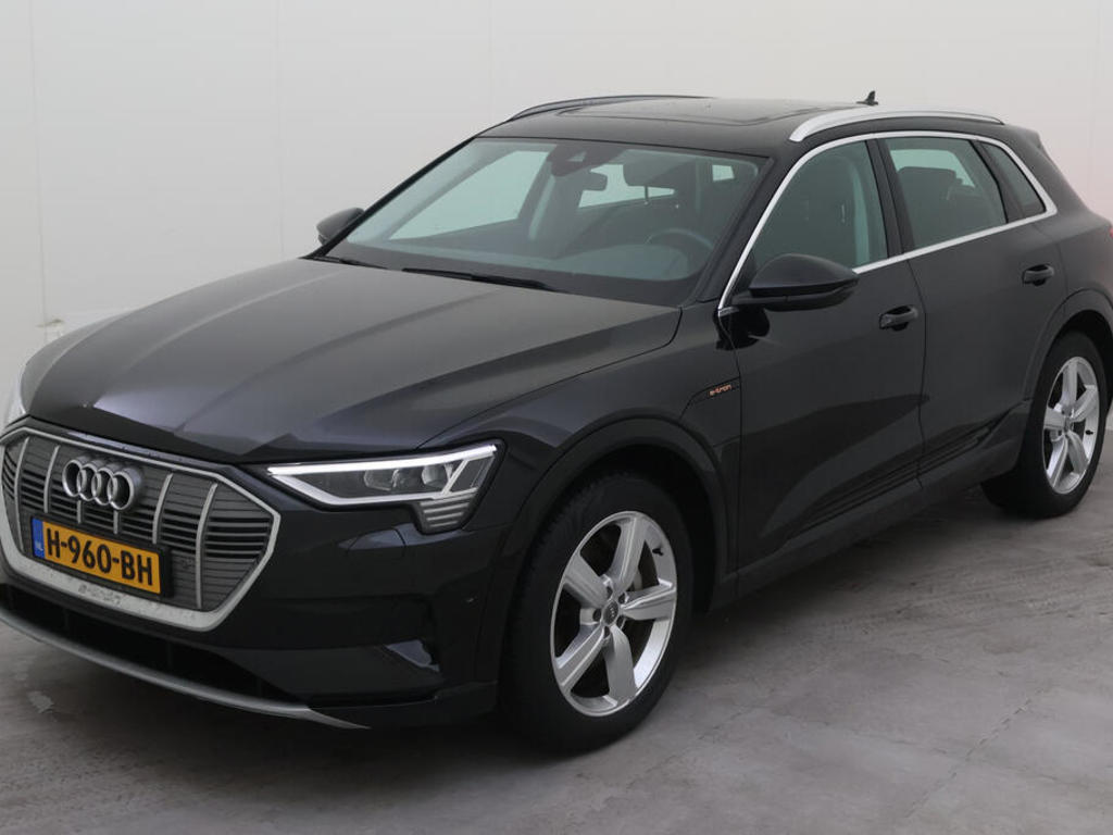 Audi E-tron 50 BEV 313PK QUATTRO LAUNCH EDITION PLUS PRO LINE TOUR, 2019