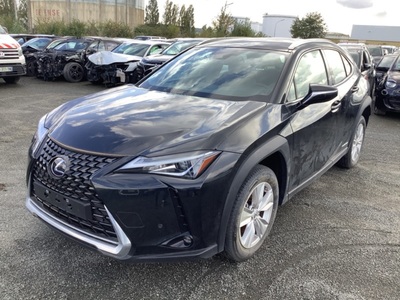 Lexus Ux 250H 2WD PACK CONFORT BUSINESS Pack Confort Business, 2022