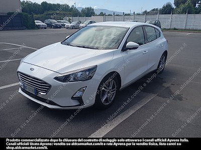 Ford focus 1.5 ecoblue 95cv business -