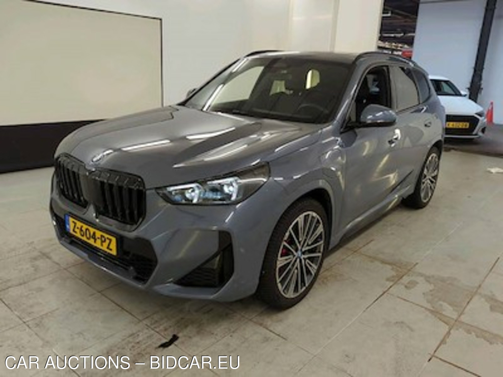 BMW X1 xDrive25e