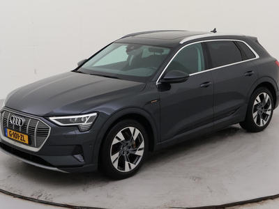 Audi E-tron 50 BEV 313PK QUATTRO LAUNCH EDITION PLUS PRO LINE TOUR TREKHAAK, 2019