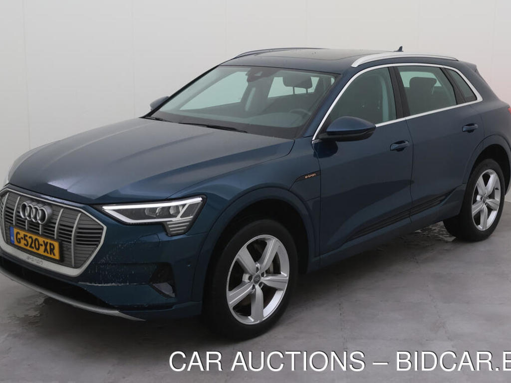 Audi E-tron 50 BEV 313PK QUATTRO LAUNCH EDITION PLUS PRO LINE TOUR, 2019