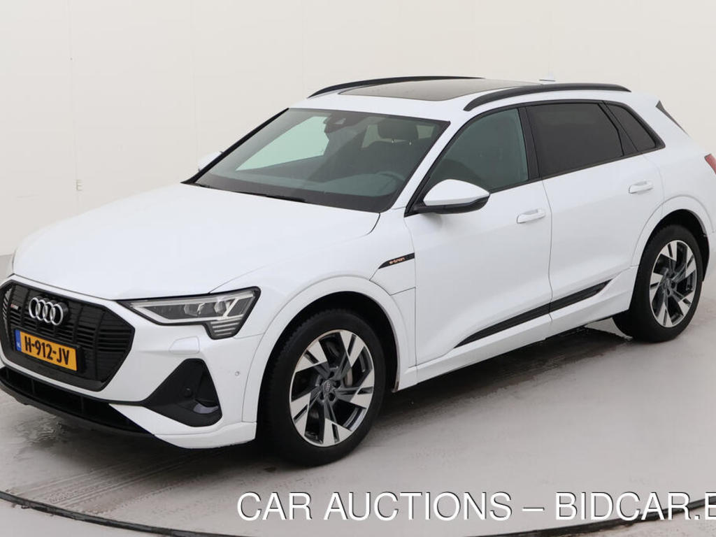 Audi E-tron 50 BEV 313PK QUATTRO LAUNCH EDITION BLACK PRO LINE S TOUR, 2020