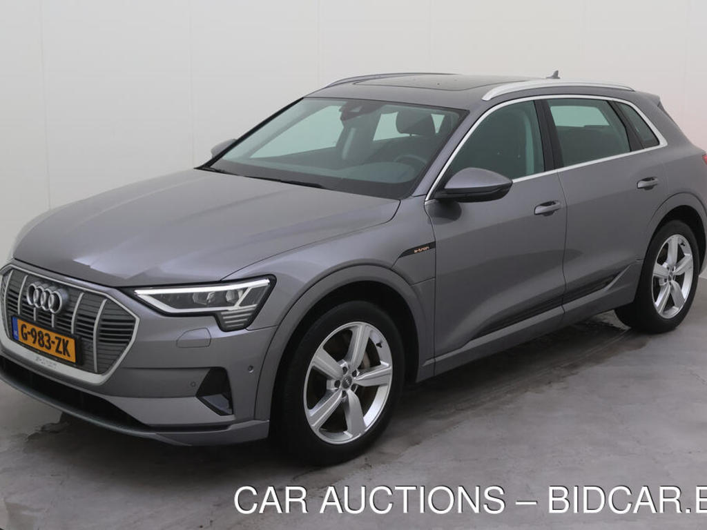 Audi E-tron 50 BEV 313PK QUATTRO LAUNCH EDITION PLUS PRO LINE TOUR, 2019