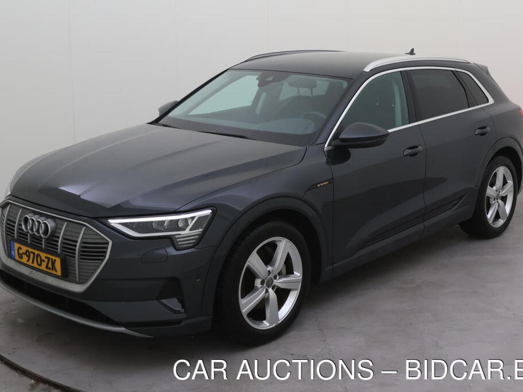 Audi E-tron 50 BEV 313PK QUATTRO LAUNCH EDITION, 2019