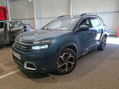 Citroen C5 aircross C5 Aircross BlueHDi 130ch S&amp;S Business + EAT8