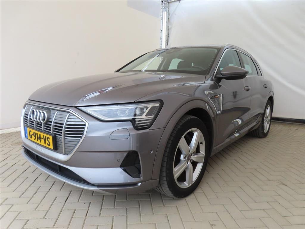 Audi E-tron E-TRON 50 Q L ED +, 2019