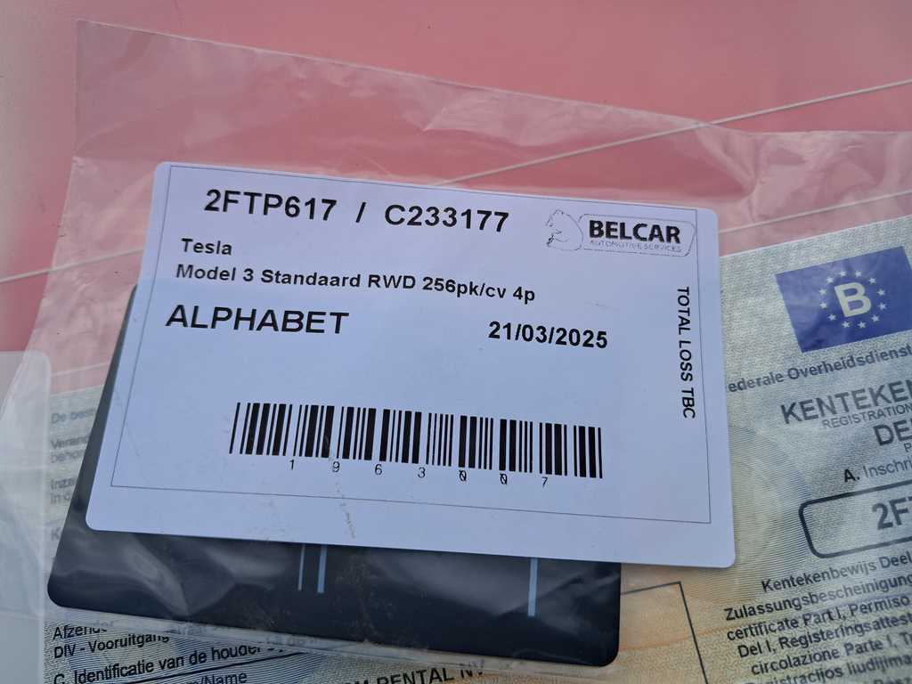 Tesla 3 Model Standaard RWD 256pk/cv 4p, 2024