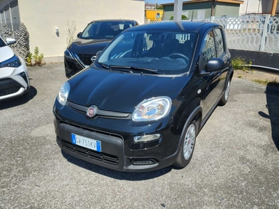 Fiat Panda 1.0 FireFly 70cv S&amp;S Hybrid, 2024