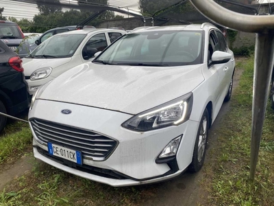 Ford Focus 1.5 Ecoblue 120cv Business SW, 2021