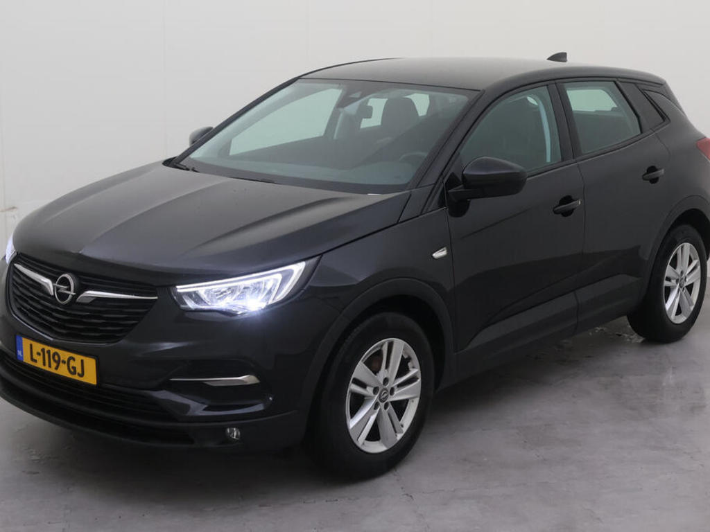Opel Grandland x 1.2 TURBO 131PK BUSINESS EDITION TREKHAAK, 2021