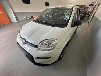 Fiat Panda 1.0 FireFly 70cv S&amp;S Hybrid, 2023