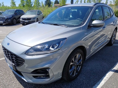 Ford Kuga 1.5 EcoBlue 120CV 2WD ST-Line, 2020