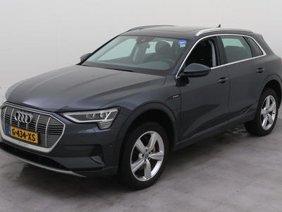 Audi E-tron 50 QUATTRO 313PK LAUNCH EDITION PLUS TREKHAAK, 2019