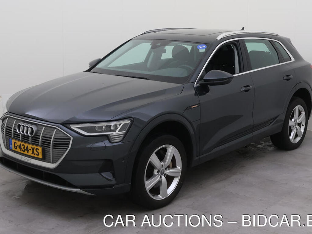 Audi E-tron 50 QUATTRO 313PK LAUNCH EDITION PLUS TREKHAAK, 2019
