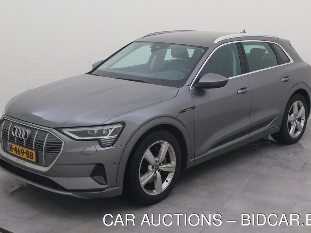 Audi E-tron 50 BEV 313PK QUATTRO LAUNCH EDITION, 2019