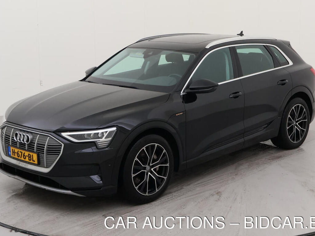 Audi E-tron 50 BEV 313PK QUATTRO LAUNCH EDITION PLUS PRO LINE TOUR PANO, 2019