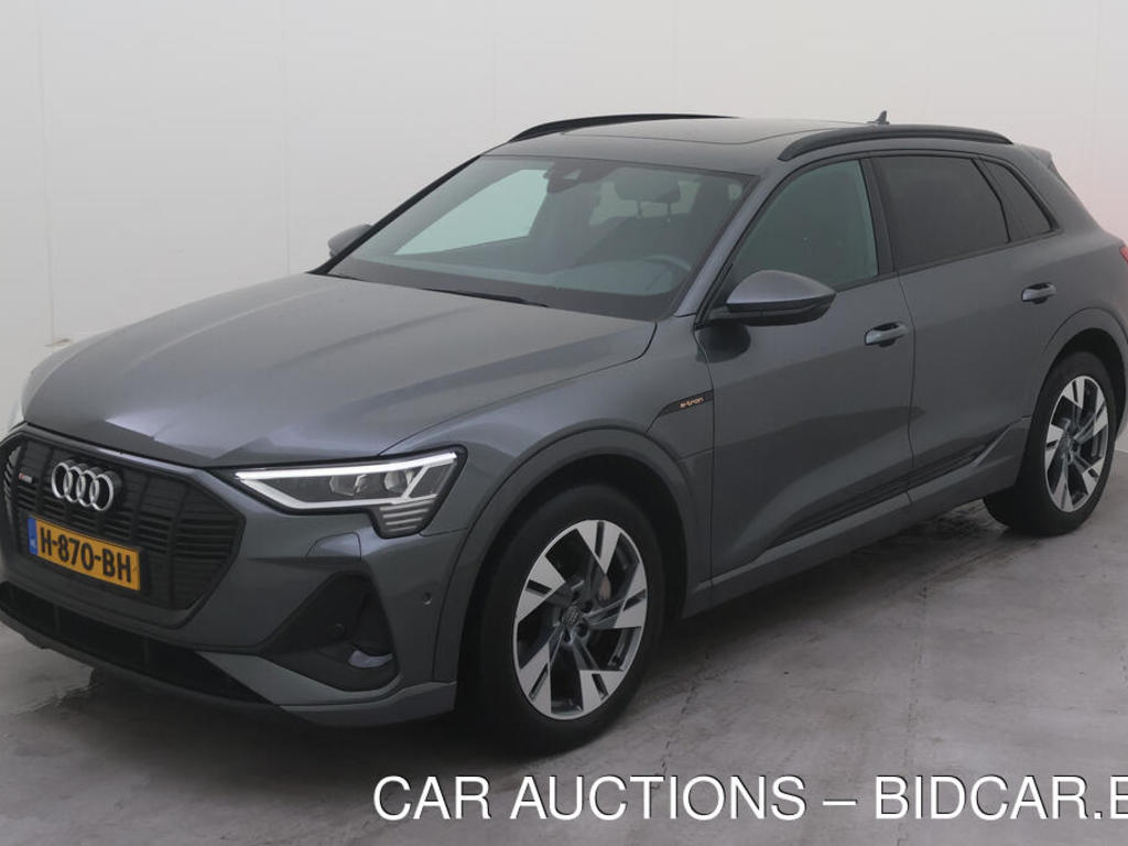 Audi E-tron 50 BEV 313PK QUATTRO LAUNCH EDITION BLACK PRO LINE S TOUR, 2019