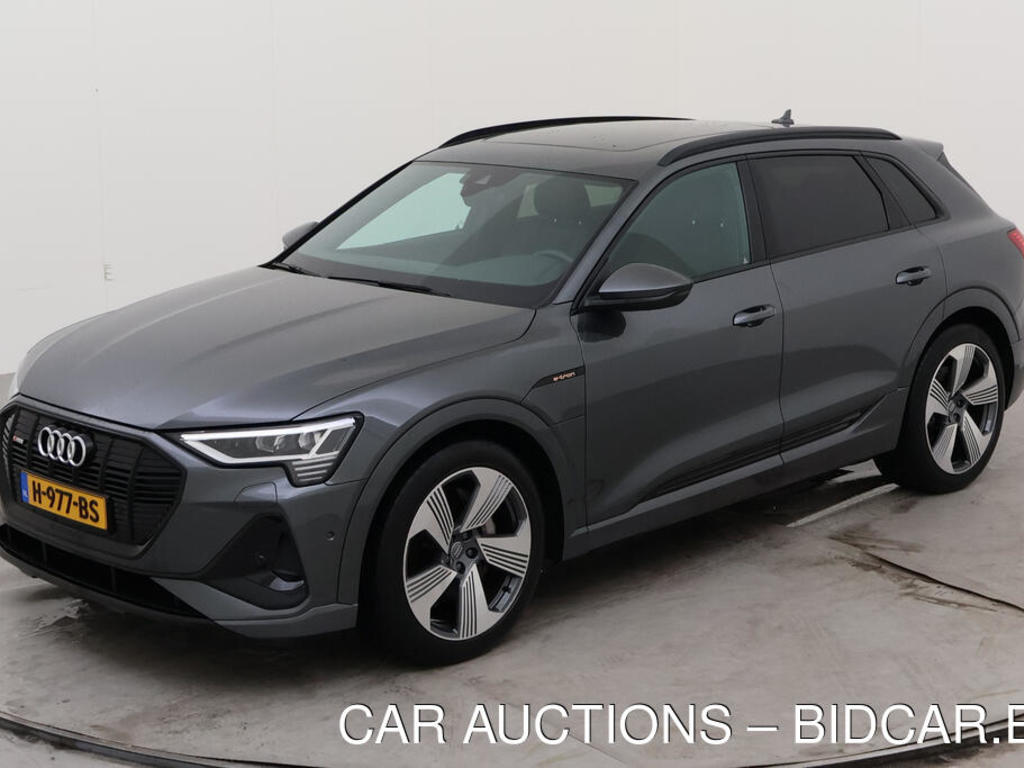 Audi E-tron 50 BEV 313PK QUATTRO LAUNCH EDITION BLACK PRO LINE S TOUR, 2019