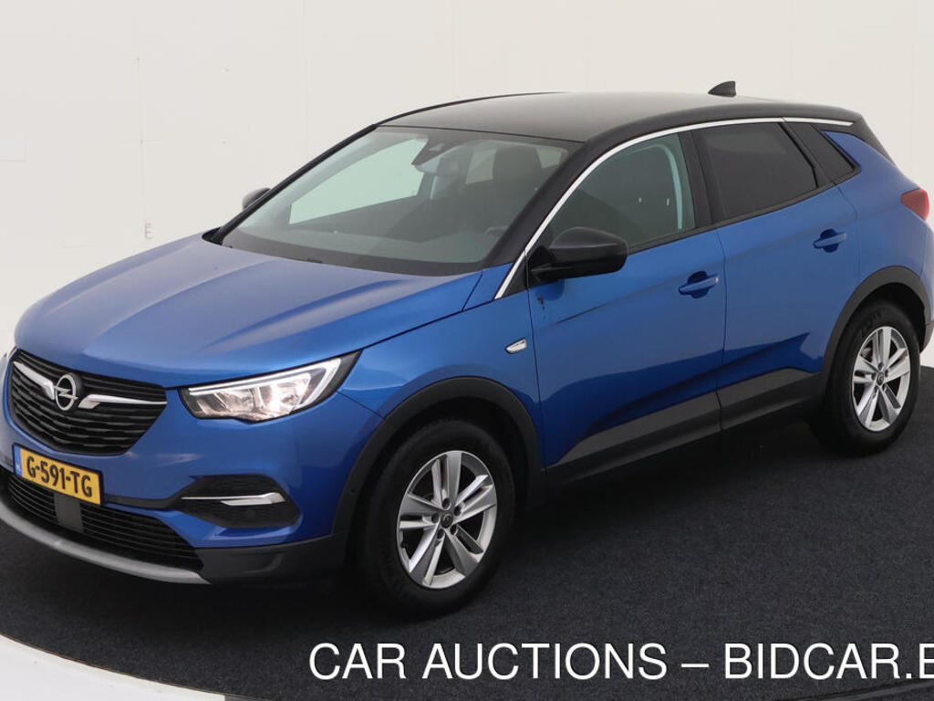 Opel Grandland x 1.2 TURBO 130PK AUT BUSINESS EXECUTIVE CAMERA SOUND PANO, 2019