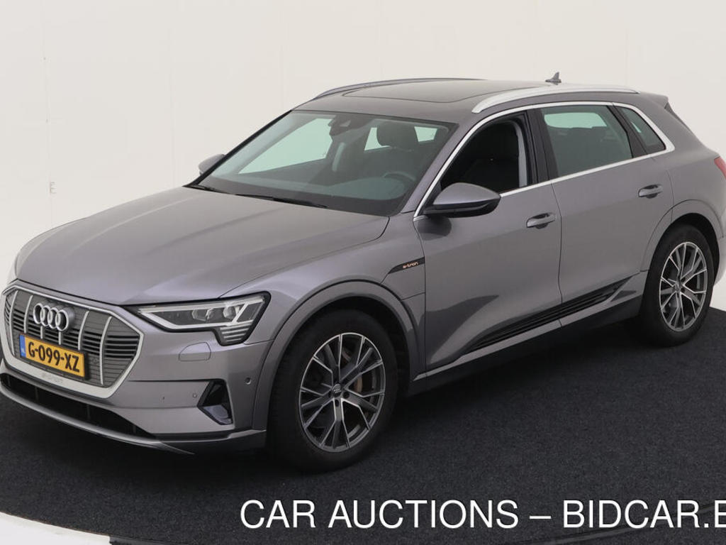 Audi E-tron E-TRON 50 QUATTRO LAUNCH EDITION PLUS, 2019