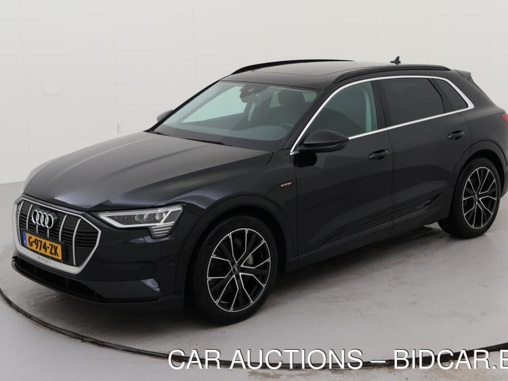Audi E-tron 50 BEV 313PK QUATTRO LAUNCH EDITION PLUS PRO LINE TOUR PANO, 2019