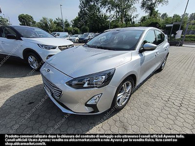 Ford focus 1.5 ecoblue 95cv business -