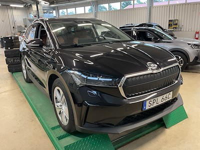 Skoda Enyaq iV 80 Skinn Panorama Drag