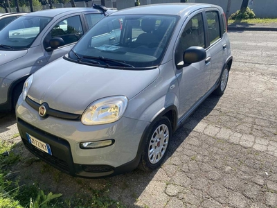 Fiat Panda 1.0 FireFly 70cv S&amp;S Hybrid, 2022