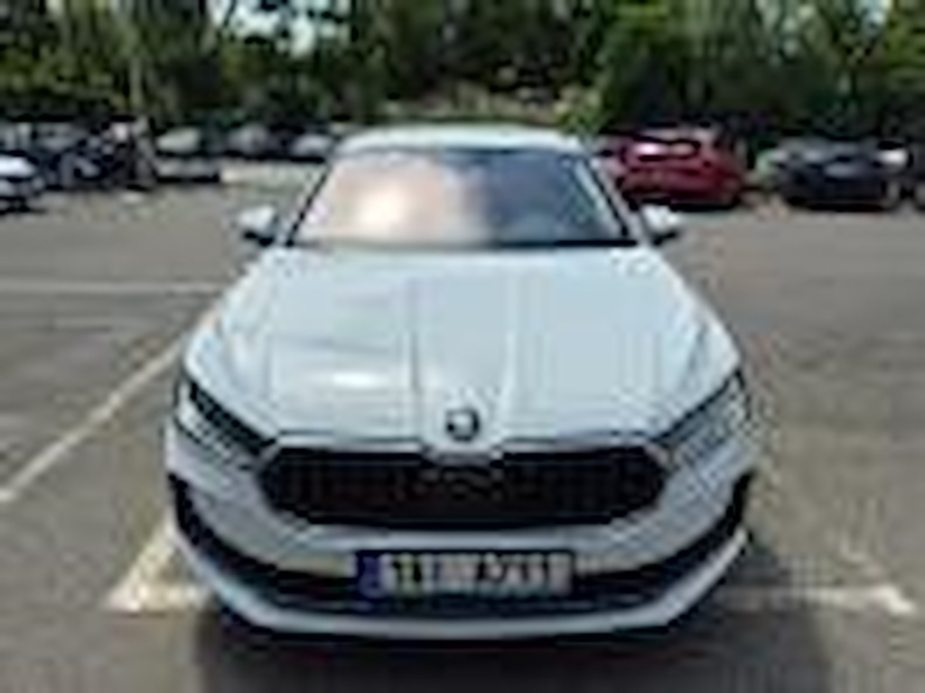 Skoda Superb 2.0 TDI 110 kW Selection DSG (110 kW)