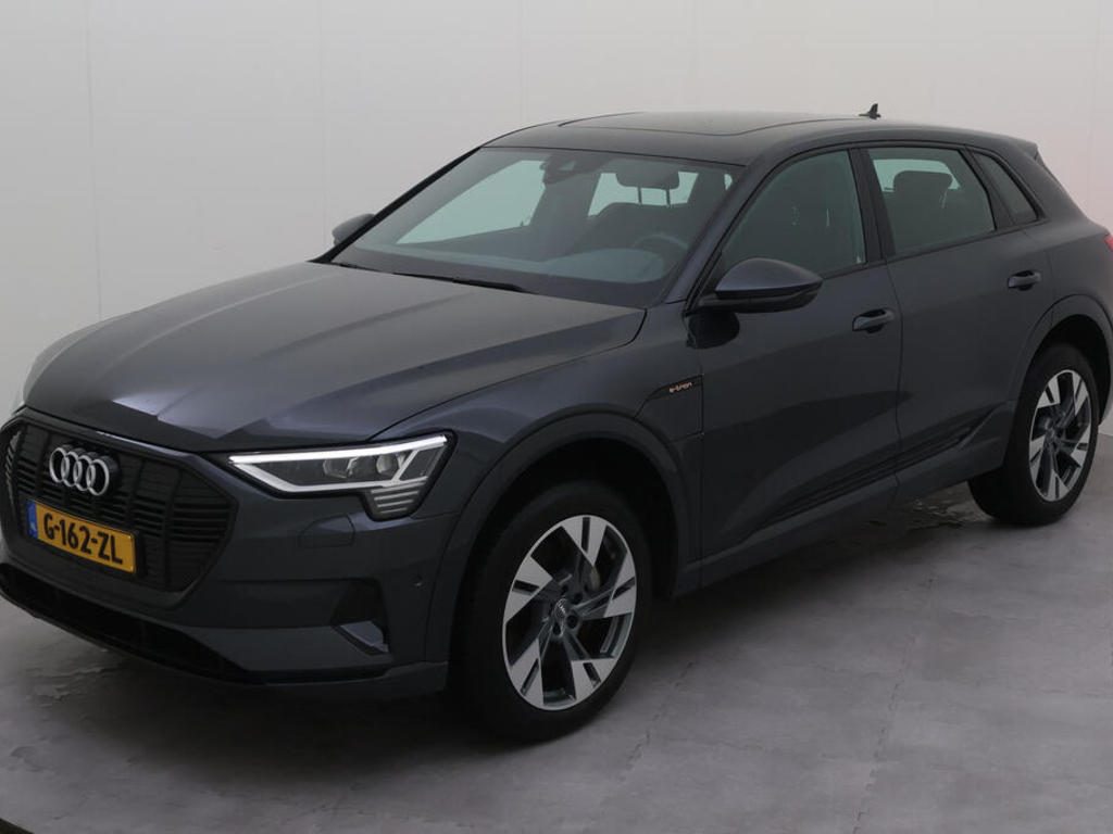 Audi E-tron 55 BEV 408PK QUATTRO ADVANCED TOUR PRO LINE S PANO TREKHAAK, 2019