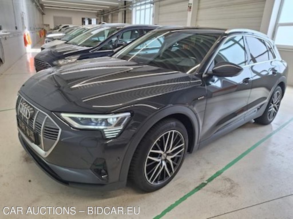 Audi E-tron 50 quattro Business 158KW