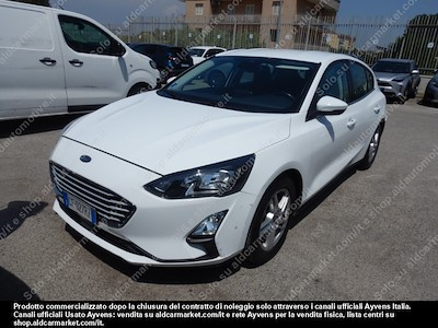Ford focus 1.5 ecoblue 95cv business -