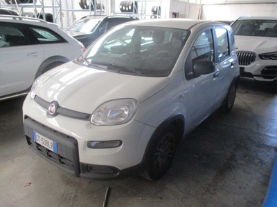 Fiat Panda 1.0 FireFly 70cv S&S Hybrid, 2024