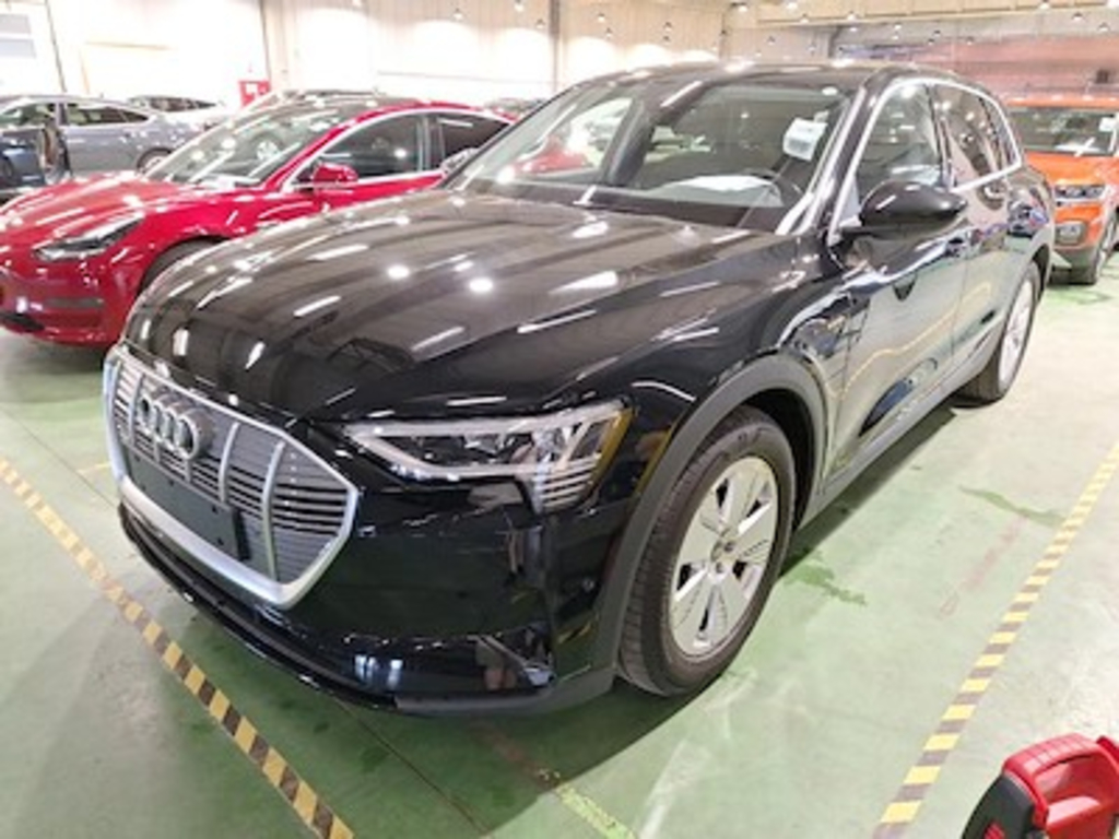 Audi E-TRON 95 kWh 55 Quattro