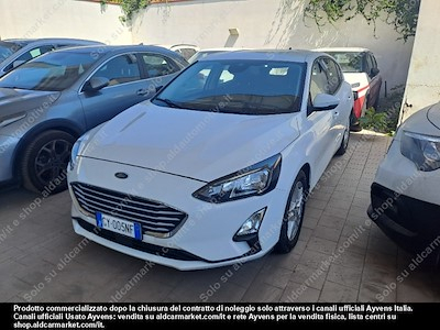 Ford focus 1.5 ecoblue 95cv business -
