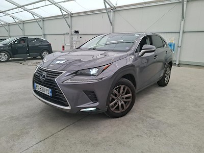 Lexus NX NX 300h 4WD Luxe