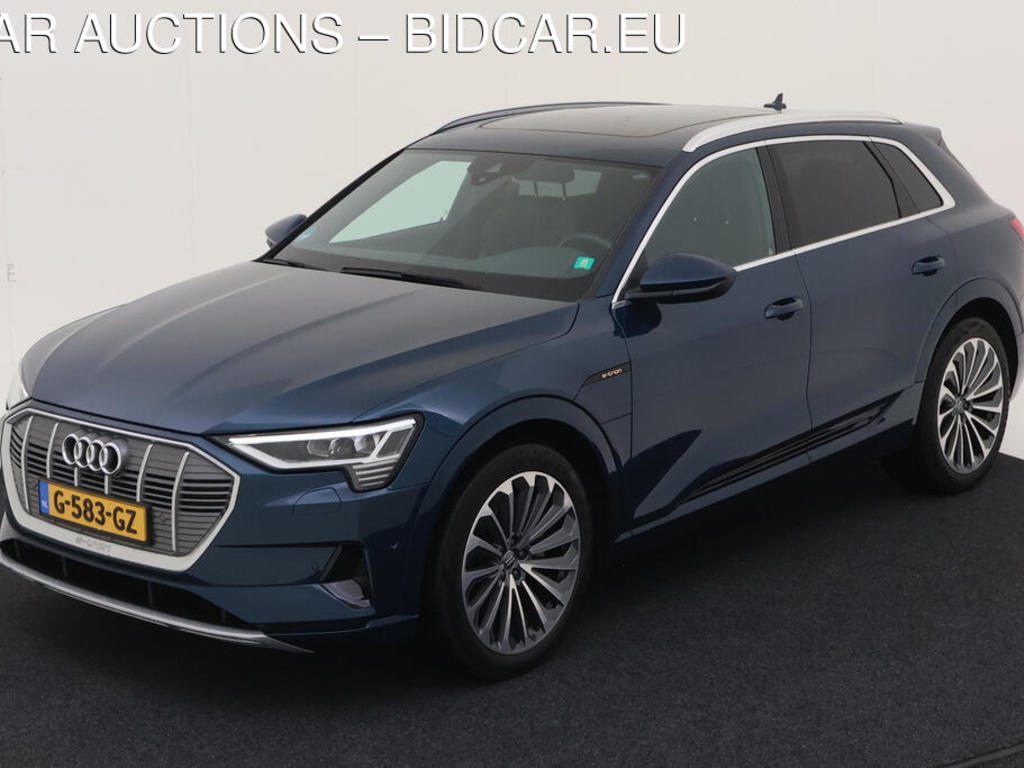 Audi E-tron 55 BEV 408PK QUATTRO ADVANCED PRO LINE S TOUR TREKHAAK, 2019