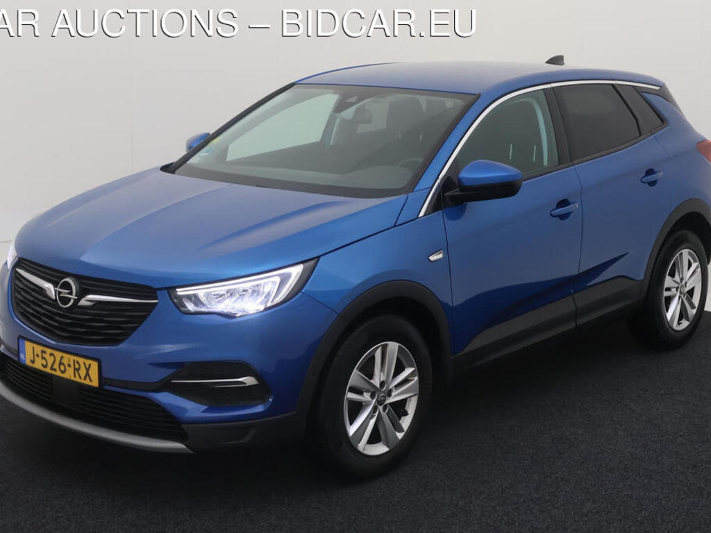 Opel Grandland x 1.5 CDTI 131PK AUT BUSINESS EXECUTIVE CAMERA, 2020