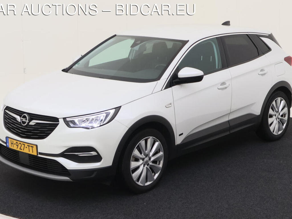 Opel Grandland x 1.6 TURBO HYBRID4 300PK AUT AWD BUSINESS EXEC CAMERA TREKHAAK, 2020