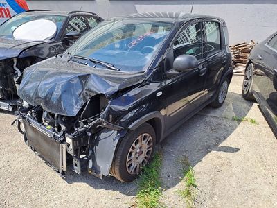 Fiat Panda III 2021 Panda 1.0 firefly hybrid s&amp;s 70cv, 2023