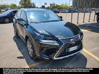 Lexus NX hybrid business 2wd FP -