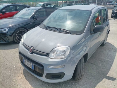 Fiat Panda 1.0 FireFly 70cv S&amp;S Hybrid, 2021