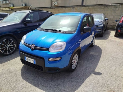 Fiat Panda 1.0 FireFly 70cv S&S Hybrid, 2024