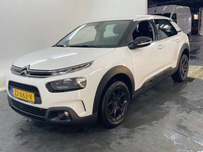Citroen C4 cactus 1.2 PureTech 130pk S&S Business