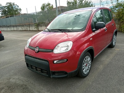 Fiat Panda 1.0 FireFly 70cv S&S Hybrid, 2024