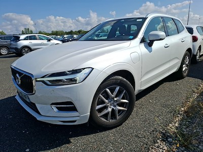Volvo XC60 XC60 T8 AWD Recharge 303 + 87ch Business Executive Geartronic