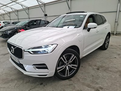 Volvo XC60 XC60 T8 Twin Engine 303 + 87ch Business Executive Geartronic