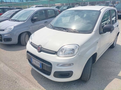 Fiat Panda 1.0 FireFly 70cv S&amp;S Hybrid, 2021